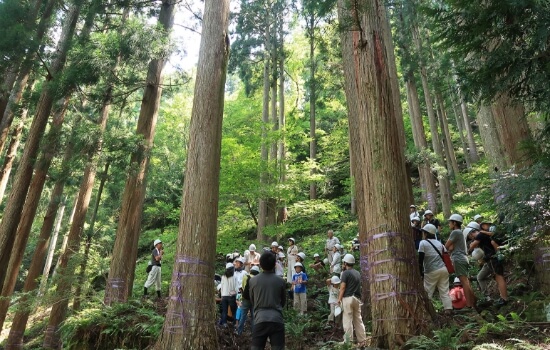 一般社団法人安曇川流域森と家づくりの会